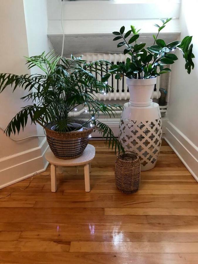 Jules & Jim Apartment Montreal Bagian luar foto